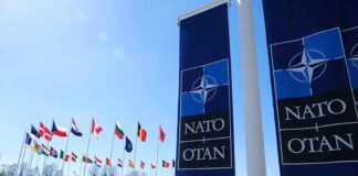 NATO flags and banners under clear sky.