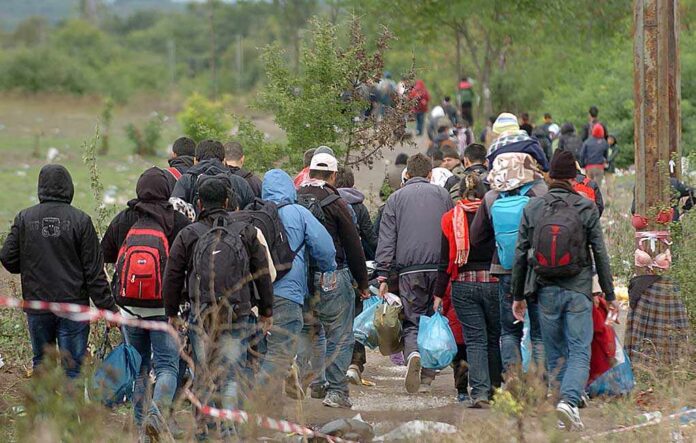767062555 featured image Group of people walking through a field