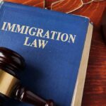 Blue book titled Immigration Law with gavel nearby