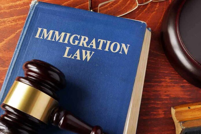 525426433 featured image Blue book titled Immigration Law with gavel nearby