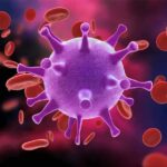 Examining RFK Jr.’s Autism Claims: Are Environmental Factors Being Overlooked? Virus surrounded by red blood cells.