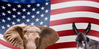 Elephant and donkey with American flag background