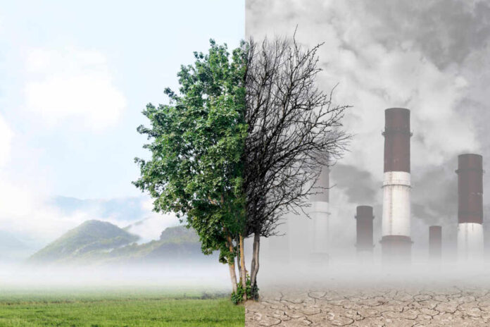 1875795823 featured image Tree dividing green nature and industrial pollution scene