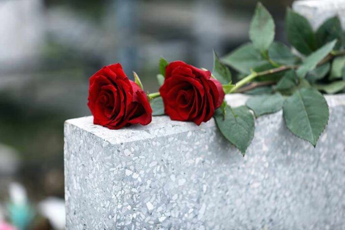 1622846017 featured image Two red roses on a gray stone