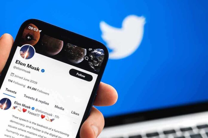 Person viewing Elon Musks Twitter profile on smartphone