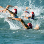 Group of swimmers racing in open water.