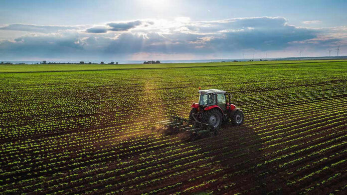 Tractor plowing a vast green field at sunset.