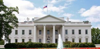 The White House surrounded by colorful flower beds and a fountain