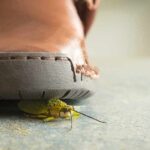 Walmart CRUSHES Amazon With Massive DELIVERY PLAN Close-up of a shoe with an insect underneath