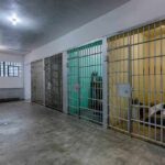 10 Detainees Dead — And the Government Missed the Signs Interior view of a prison cell block with metal bars and concrete flooring