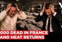New Figures Show France’s Heatwave Took a Far Greater Toll Bodies Sent 80KM Away As Paris Mortuaries Fill During France Heatwave | 9,000+ Dead So Far | VERTEX