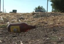 Bullets Rip Through Birthday Crowd Bay Area streamer 'heartbroken' after shooting at large birthday party leads to death of friend