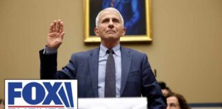 Dr. Fauci will have to plead the Fifth at hearing, senator predicts