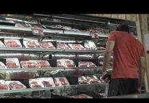 High-risk beef recall raises questions as debate over imported meat grows