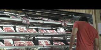 High-risk beef recall raises questions as debate over imported meat grows