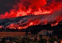 State Of Emergency Erupts Overnight 🚨 BC Wildfire Emergency | 230 Homes Destroyed, 116 Fires Burning & 15,000 Under Evacuation