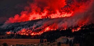 State Of Emergency Erupts Overnight 🚨 BC Wildfire Emergency | 230 Homes Destroyed, 116 Fires Burning & 15,000 Under Evacuation