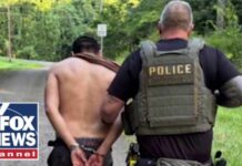 EXCLUSIVE: ICE arrests over 1,200 illegal migrants in Georgia operation