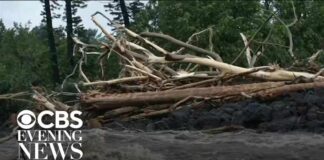 Hurricane Lala hits Hawaii, weakens to tropical storm
