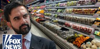 NYC grocery owners FIGHT BACK against city-run store plan