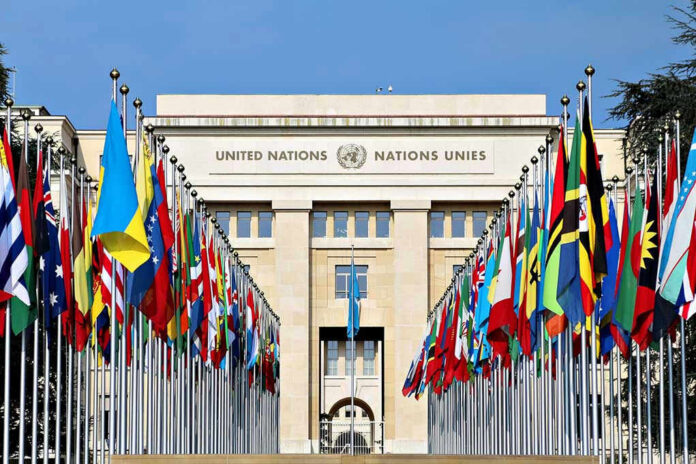 423802144-1 United Nations building with numerous national flags outside.