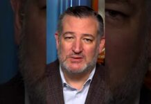 Senator Ted Cruz weighs in on Texas Senate race