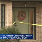 Illinois Mother Charged in Death of 2-Year-Old Son Mother charged in 2-year-old boy's death in Frankfort home, police say