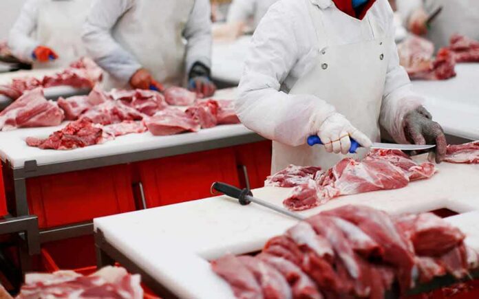 shutterstock_1701927493-1 Butchers cutting raw meat on processing line