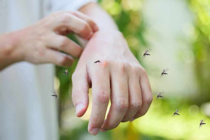 hand being bitten by mosquitoes outdoors