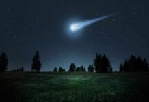 Meteor Panic Was A Blackbird Boom Bright meteor streaking across a starry night sky over a grassy field