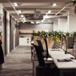 Open-plan office with empty desks and plants along partitions