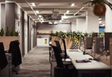 Open-plan office with empty desks and plants along partitions