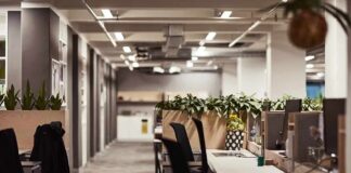 Federal Reserve Data Controls Under Scrutiny Open-plan office with empty desks and plants along partitions