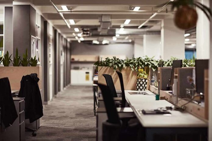 shutterstock_2148777475 Open-plan office with empty desks and plants along partitions
