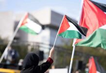Gorillaz Show Turns Political in Orlando Person waving a Palestinian flag at a rally