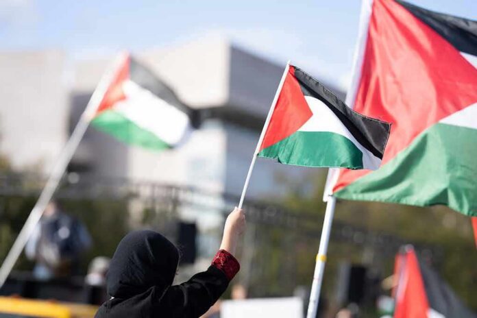 shutterstock_2378182811-2 Person waving a Palestinian flag at a rally
